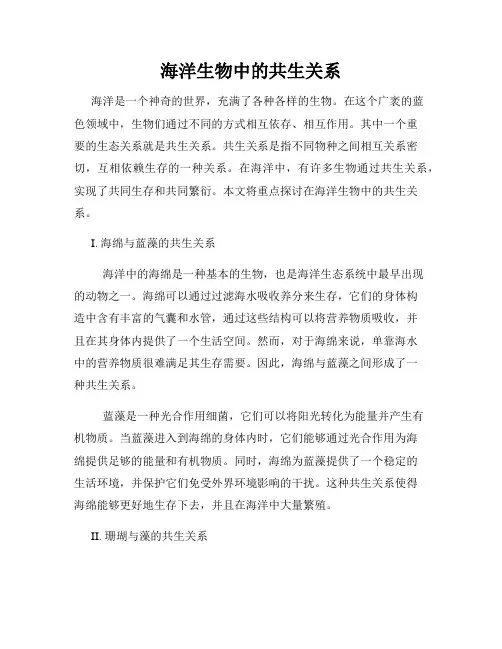 海洋生物中的共生关系
