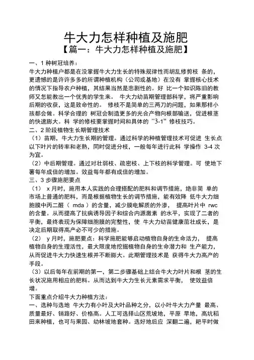 牛大力怎样种植及施肥