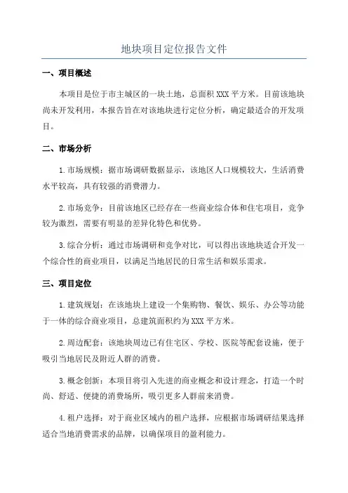 地块项目定位报告文件