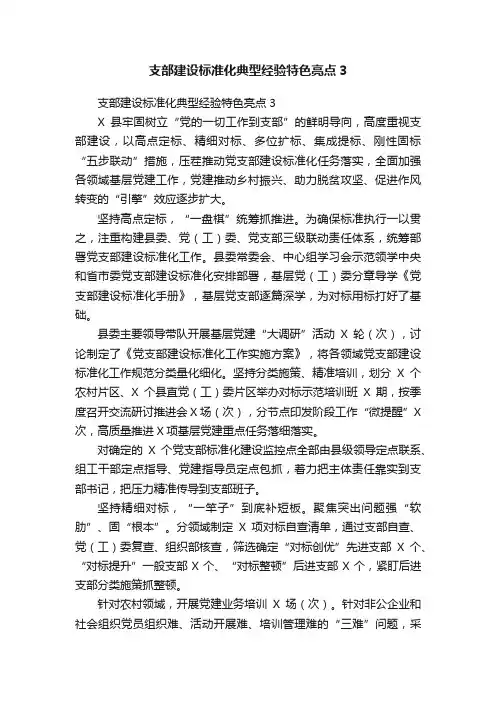 支部建设标准化典型经验特色亮点3