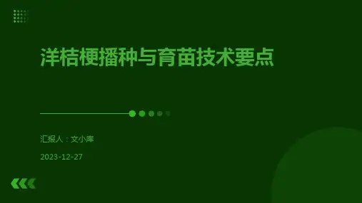 洋桔梗播种与育苗技术要点