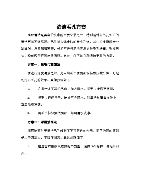 清洁毛孔方案