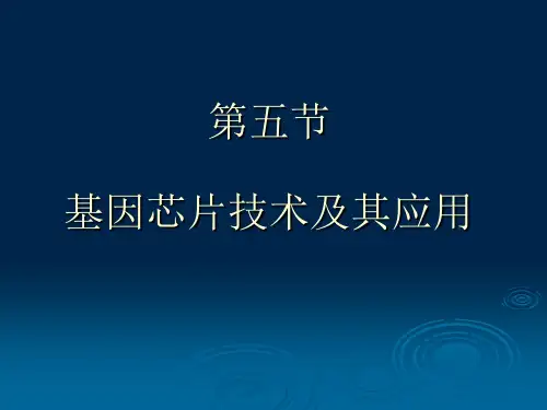 基因芯片