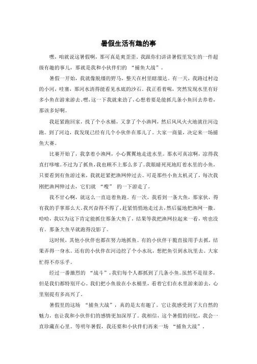 暑假生活有趣的事