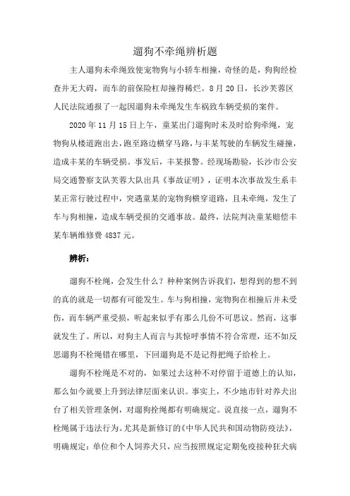 遛狗不牵绳辨析题