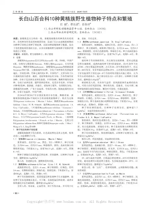 长白山百合科10种黄精族野生植物种子特点和繁殖