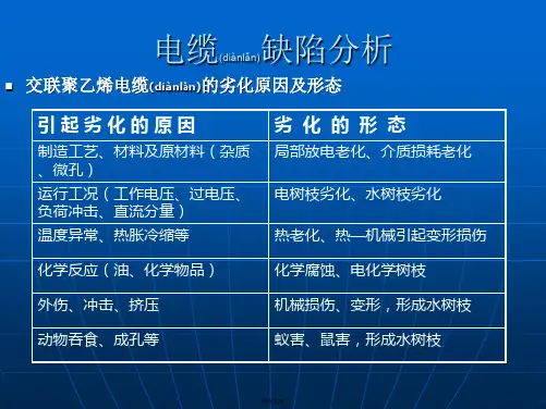 电缆缺陷分析及应对措施(共19张PPT)