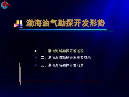 中国海洋石油总公司天津介绍共37页