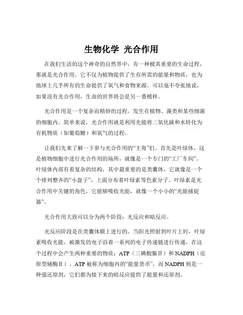 生物化学  光合作用