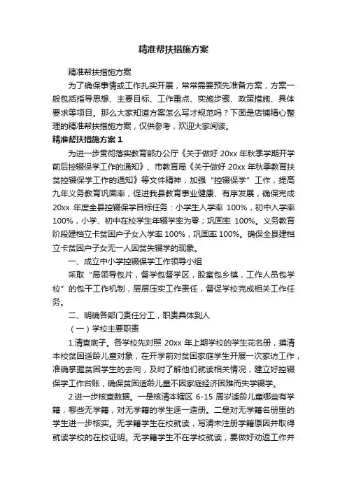 精准帮扶措施方案