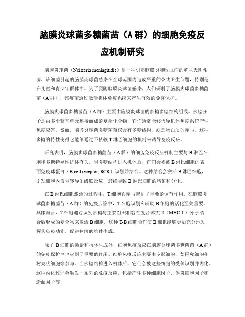 脑膜炎球菌多糖菌苗(A群)的细胞免疫反应机制研究