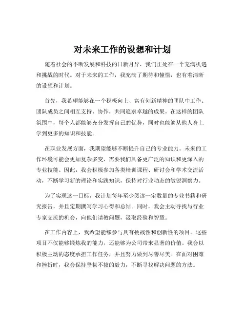 对未来工作的设想和计划