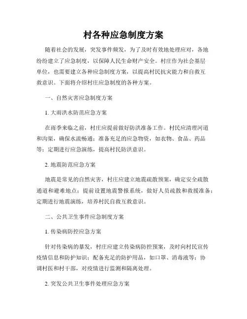 村各种应急制度方案
