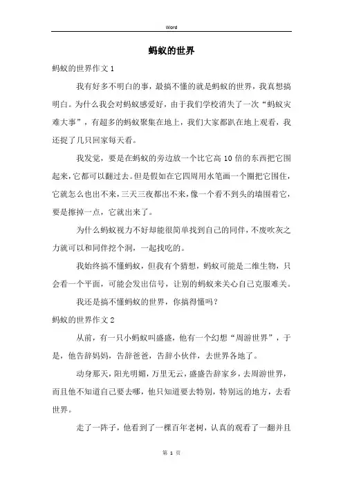 蚂蚁的世界