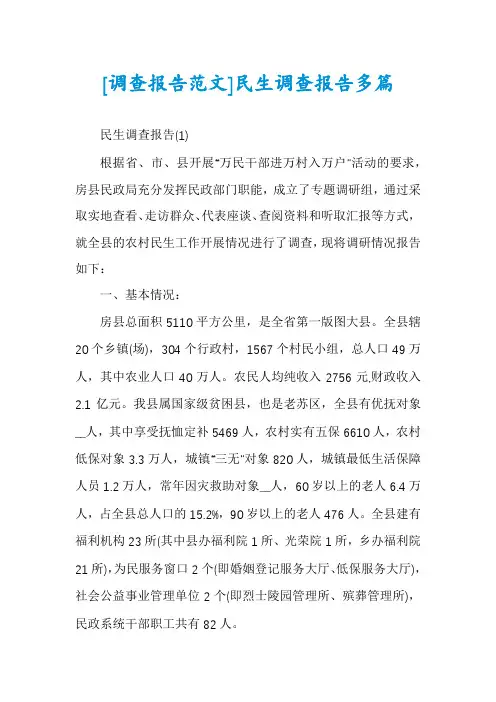 [调查报告范文]民生调查报告多篇