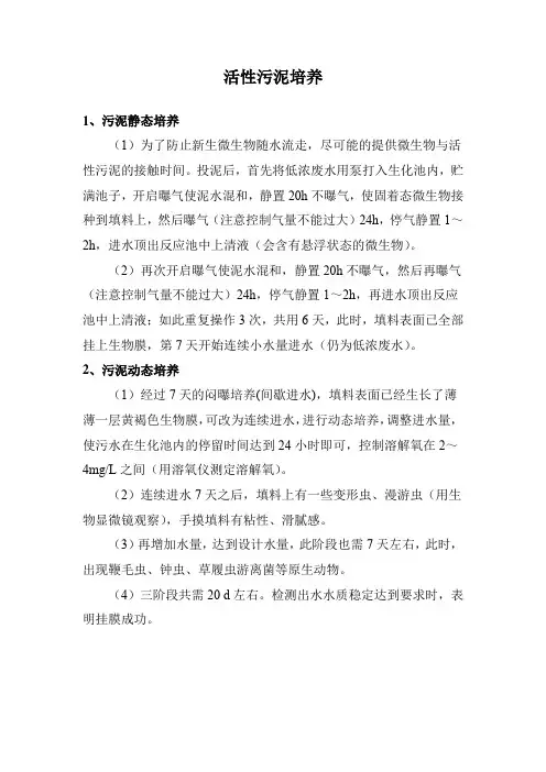 活性污泥培养