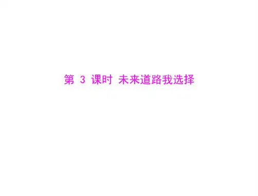 思想品德：第十课-第3课时-未来道路我选择--配套课件(人教版九年级)
