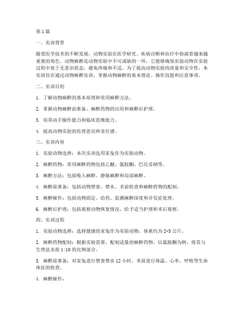 动物麻醉实训报告(3篇)