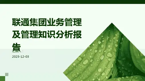 联通集团业务管理及管理知识分析报告