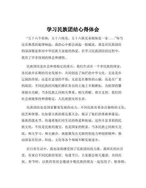 学习民族团结心得体会