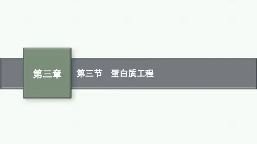 苏教版高中生物学选择性必修3生物学技术与工程精品课件 第三章 基因工程 第三节 蛋白质工程