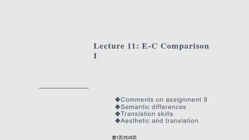 lecture大学英语专业英译汉PPT课件