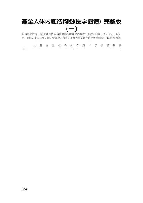最全人体内脏结构图(医学图谱)_完整版