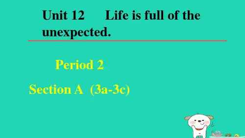 九年级英语全册 Unit 12Period 2 Section A(3a-3c)