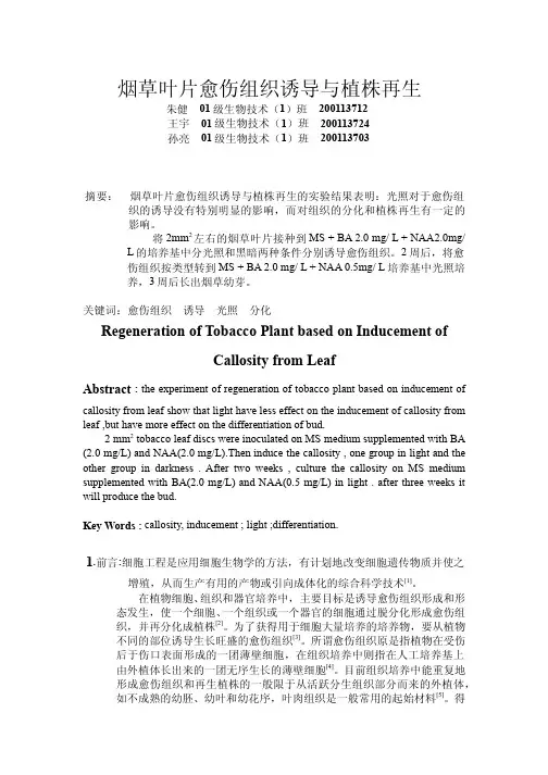 烟草叶片愈伤组织诱导与植株再生