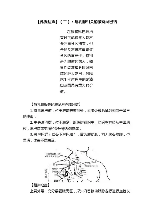 【乳腺超声】（二）：与乳腺相关的腋窝淋巴结
