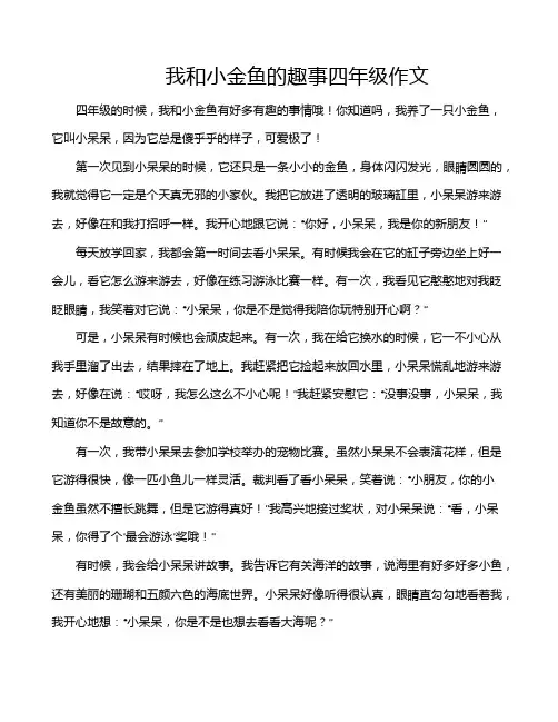 我和小金鱼的趣事四年级作文