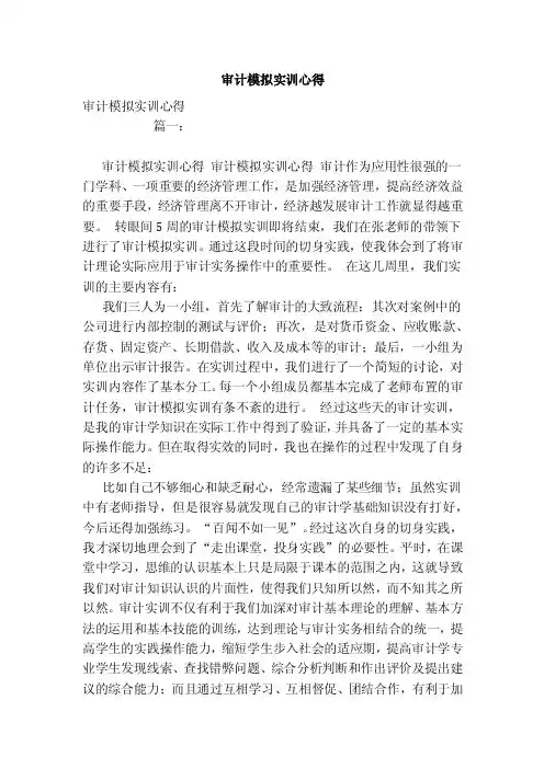 审计模拟实训心得