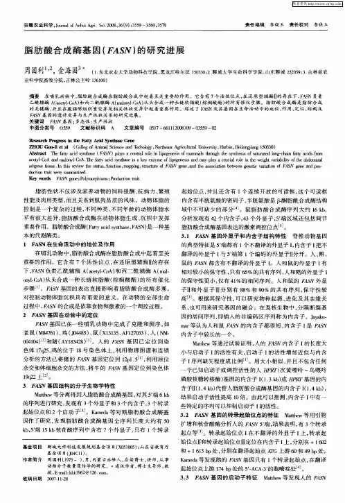 脂肪酸合成酶基因(FASN)的研究进展