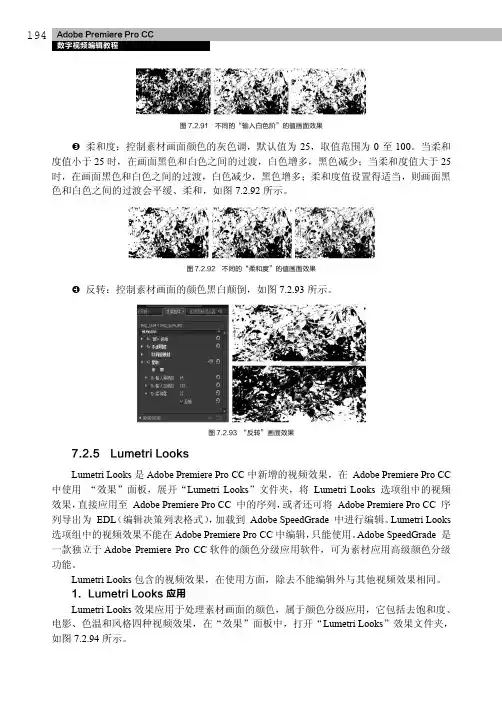Lumetri Looks_Adobe Premiere Pro CC 数字视频编辑教程_[共5页]