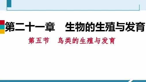 第五节 鸟类的生殖与发育