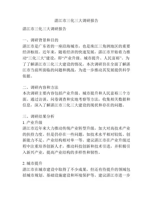 湛江市三化三大调研报告