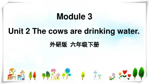 外研社(三起)小学英语六年级下册Unit 2[6] 课件