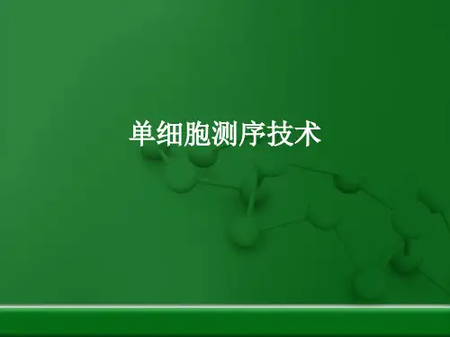 单细胞测序