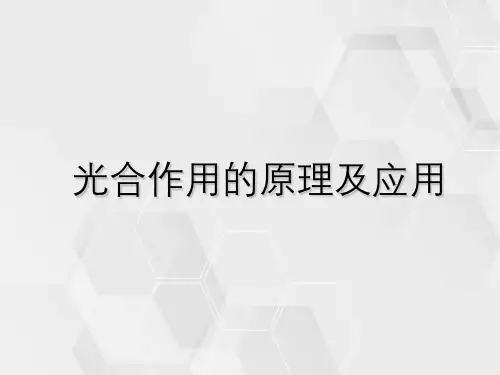 光合作用的原理及应用
