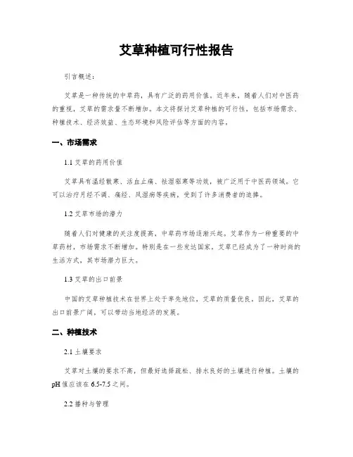 艾草种植可行性报告