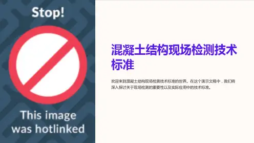 混凝土结构现场检测技术标准