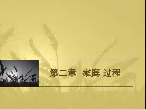 第二章 家庭过程  中国社会学史教学课件