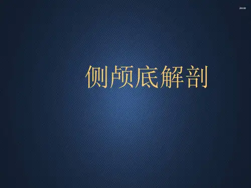 侧颅底解剖  ppt课件