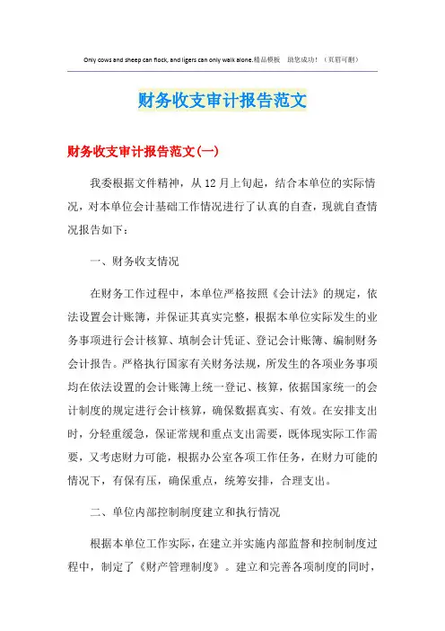 财务收支审计报告范文