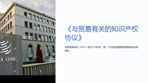 《与贸易有关的知识产权协议》