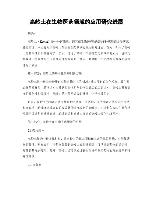 高岭土在生物医药领域的应用研究进展