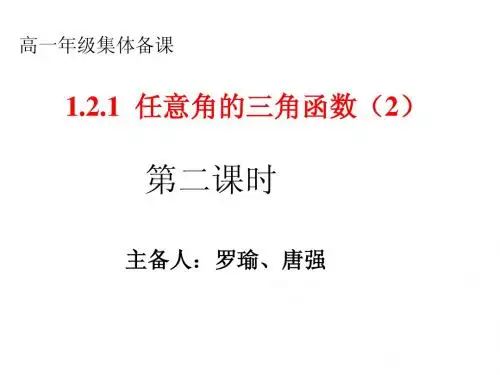 1.2.1任意角的三角函数(2)