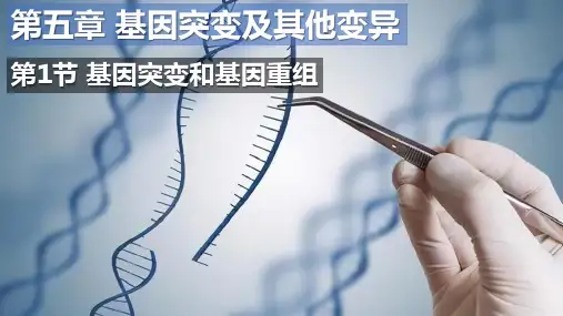 5-1基因突变和基因重组-【备好公开课】高一生物下学期同步精品课件(人教版2019必修2)