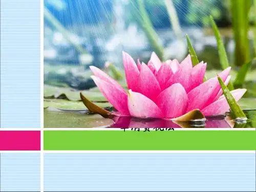 消费税法概述(PPT 115张)
