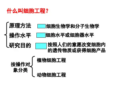 植物细胞工程一轮复习ppt课件